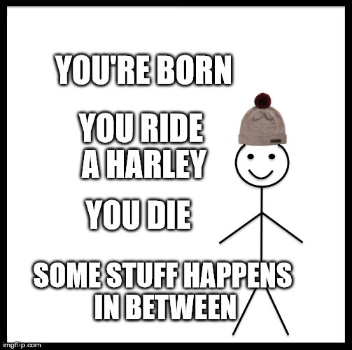 Be Like Bill | YOU'RE BORN; YOU RIDE A HARLEY; YOU DIE; SOME STUFF HAPPENS IN BETWEEN | image tagged in memes,be like bill | made w/ Imgflip meme maker