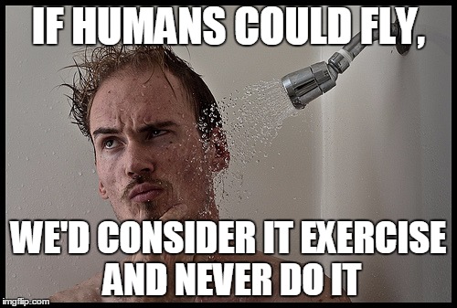 IF HUMANS COULD FLY, WE'D CONSIDER IT EXERCISE AND NEVER DO IT | image tagged in shower | made w/ Imgflip meme maker