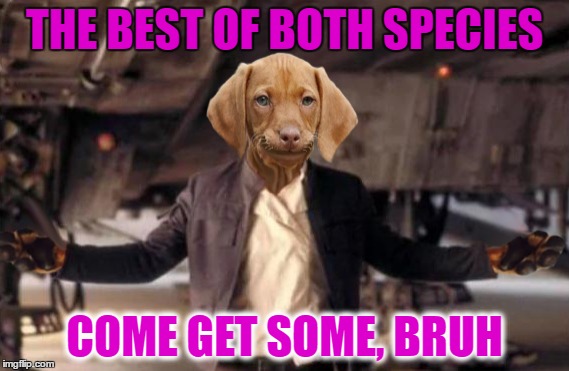 THE BEST OF BOTH SPECIES COME GET SOME, BRUH | made w/ Imgflip meme maker