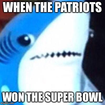 WHEN THE PATRIOTS; WON THE SUPER BOWL | image tagged in left shark | made w/ Imgflip meme maker