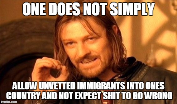 One Does Not Simply Meme | ONE DOES NOT SIMPLY; ALLOW UNVETTED IMMIGRANTS INTO ONES COUNTRY AND NOT EXPECT SHIT TO GO WRONG | image tagged in memes,one does not simply | made w/ Imgflip meme maker