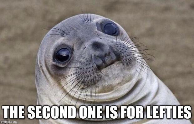 Awkward Moment Sealion Meme | THE SECOND ONE IS FOR LEFTIES | image tagged in memes,awkward moment sealion | made w/ Imgflip meme maker