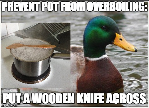 Actual Advice Mallard Meme | PREVENT POT FROM OVERBOILING: PUT A WOODEN KNIFE ACROSS | image tagged in memes,actual advice mallard,AdviceAnimals | made w/ Imgflip meme maker