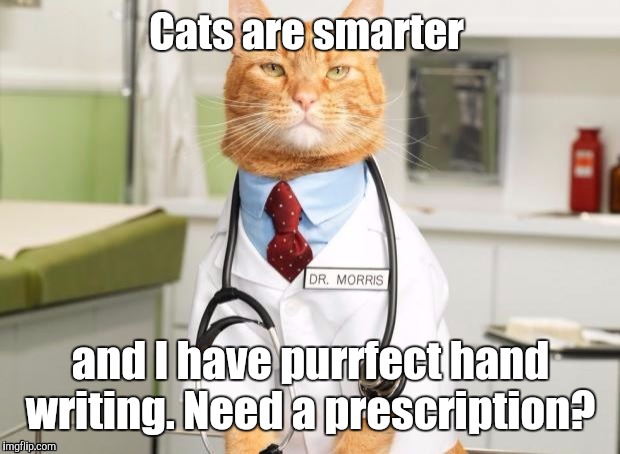 1ak3dy.jpg | Cats are smarter and I have purrfect hand writing. Need a prescription? | image tagged in 1ak3dyjpg | made w/ Imgflip meme maker