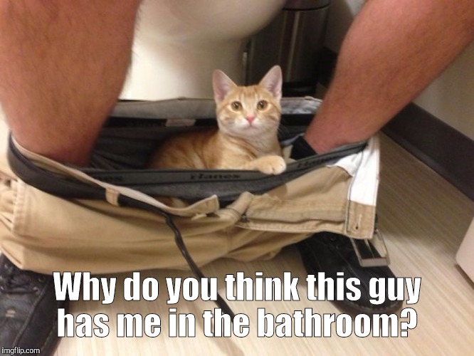 23-Funn...700.jpg | Why do you think this guy has me in the bathroom? | image tagged in 23-funn700jpg | made w/ Imgflip meme maker