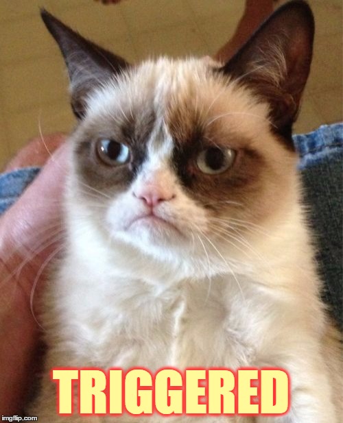 Grumpy Cat Meme | TRIGGERED | image tagged in memes,grumpy cat | made w/ Imgflip meme maker