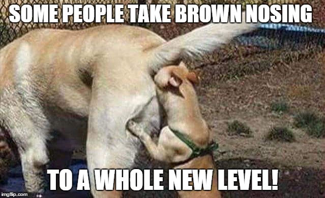 Cowboys haters | SOME PEOPLE TAKE BROWN NOSING; TO A WHOLE NEW LEVEL! | image tagged in cowboys haters | made w/ Imgflip meme maker
