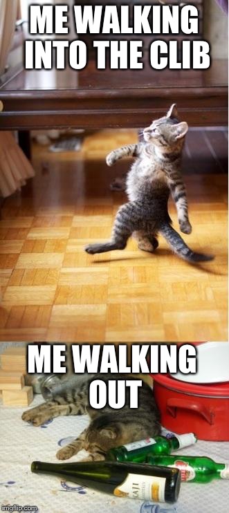 Party cat | ME WALKING INTO THE CLIB; ME WALKING OUT | image tagged in party cat | made w/ Imgflip meme maker