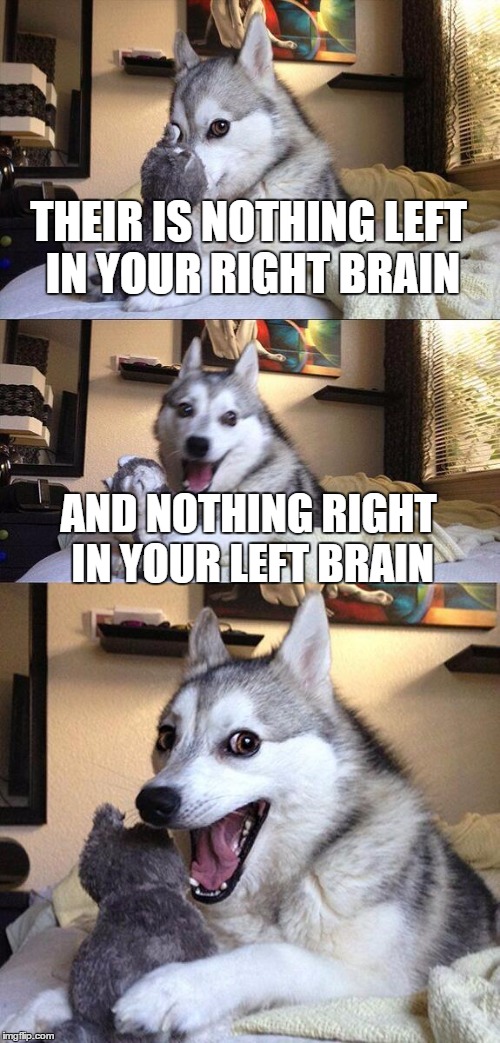 Bad Pun Dog | THEIR IS NOTHING LEFT IN YOUR RIGHT BRAIN; AND NOTHING RIGHT IN YOUR LEFT BRAIN | image tagged in memes,bad pun dog | made w/ Imgflip meme maker