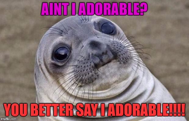 Awkward Moment Sealion | AINT I ADORABLE? YOU BETTER SAY I ADORABLE!!!! | image tagged in memes,awkward moment sealion | made w/ Imgflip meme maker