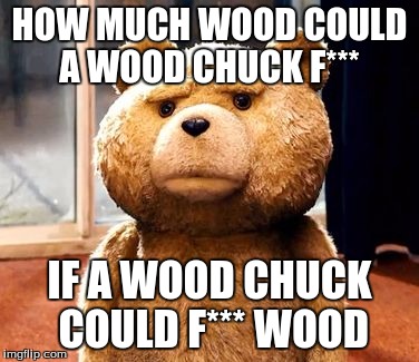 TED | HOW MUCH WOOD COULD A WOOD CHUCK F***; IF A WOOD CHUCK COULD F*** WOOD | image tagged in memes,ted | made w/ Imgflip meme maker