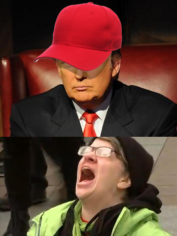High Quality Trump Hat No Blank Meme Template