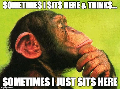 Chimp Think | SOMETIMES I SITS HERE & THINKS... SOMETIMES I JUST SITS HERE | image tagged in chimp think | made w/ Imgflip meme maker