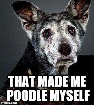 THAT MADE ME POODLE MYSELF | made w/ Imgflip meme maker