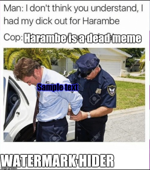 I just stole this meme and wrote over it  | Harambe is a dead meme; Sample text; WATERMARK HIDER | image tagged in stolen | made w/ Imgflip meme maker
