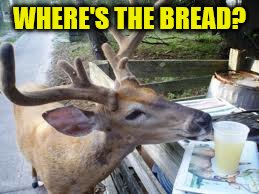 WHERE'S THE BREAD? | made w/ Imgflip meme maker