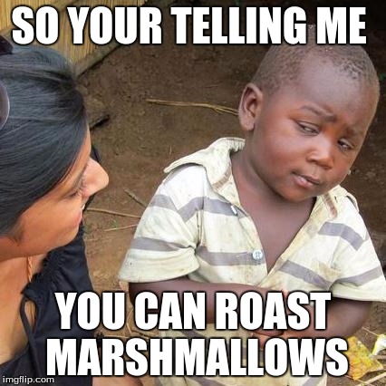 Third World Skeptical Kid Meme | SO YOUR TELLING ME; YOU CAN ROAST MARSHMALLOWS | image tagged in memes,third world skeptical kid | made w/ Imgflip meme maker