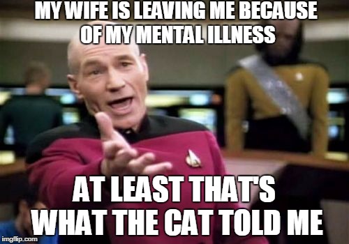 Picard Wtf Meme | MY WIFE IS LEAVING ME BECAUSE OF MY MENTAL ILLNESS; AT LEAST THAT'S WHAT THE CAT TOLD ME | image tagged in memes,picard wtf | made w/ Imgflip meme maker