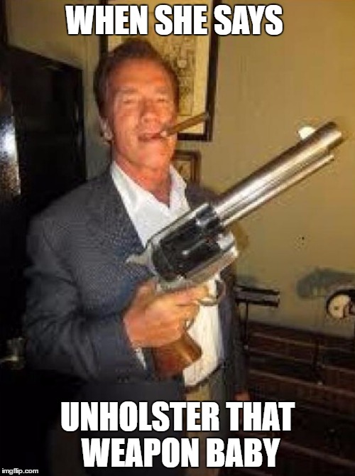 Arnold gun control | WHEN SHE SAYS; UNHOLSTER THAT WEAPON BABY | image tagged in arnold gun control | made w/ Imgflip meme maker
