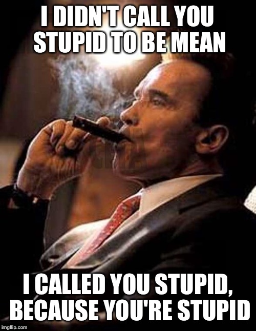 arnold cigar | I DIDN'T CALL YOU STUPID TO BE MEAN; I CALLED YOU STUPID, BECAUSE YOU'RE STUPID | image tagged in arnold cigar | made w/ Imgflip meme maker