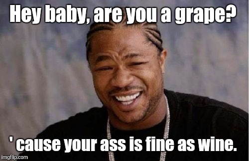 Yo Dawg Heard You Meme | Hey baby, are you a grape? ' cause your ass is fine as wine. | image tagged in memes,yo dawg heard you | made w/ Imgflip meme maker