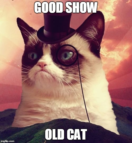 GOOD SHOW OLD CAT | made w/ Imgflip meme maker