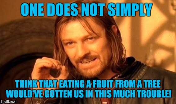 I think they must of found a marijuana plant; that's the only time I see talking animals! | ONE DOES NOT SIMPLY; THINK THAT EATING A FRUIT FROM A TREE WOULD'VE GOTTEN US IN THIS MUCH TROUBLE! | image tagged in memes,one does not simply | made w/ Imgflip meme maker