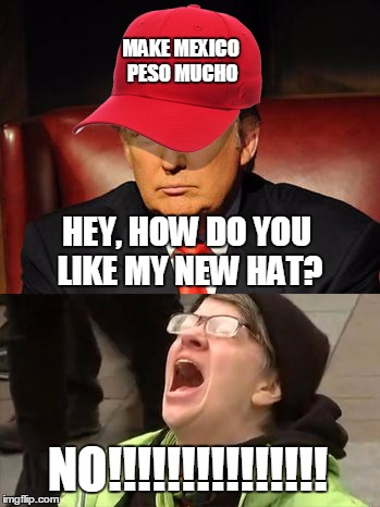 Tormentor in Chief | MAKE MEXICO PESO MUCHO; HEY, HOW DO YOU LIKE MY NEW HAT? NO!!!!!!!!!!!!!!! | image tagged in trump hat no | made w/ Imgflip meme maker