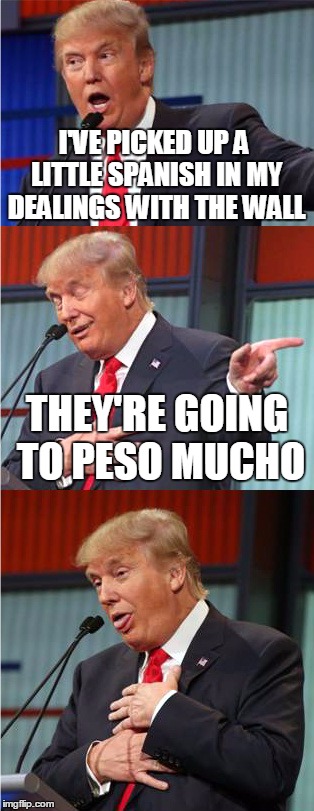 Bad Pun Trump | I'VE PICKED UP A LITTLE SPANISH IN MY DEALINGS WITH THE WALL; THEY'RE GOING TO PESO MUCHO | image tagged in bad pun trump | made w/ Imgflip meme maker