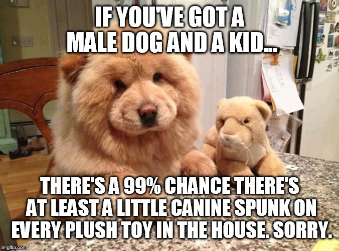 Dog toy spunk | IF YOU'VE GOT A MALE DOG AND A KID... THERE'S A 99% CHANCE THERE'S AT LEAST A LITTLE CANINE SPUNK ON EVERY PLUSH TOY IN THE HOUSE. SORRY. | image tagged in dogs,kids toys,adult humor | made w/ Imgflip meme maker