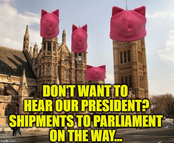 House of PussyHats | DON'T WANT TO HEAR OUR PRESIDENT? SHIPMENTS TO PARLIAMENT ON THE WAY... | image tagged in house of pussyhats | made w/ Imgflip meme maker