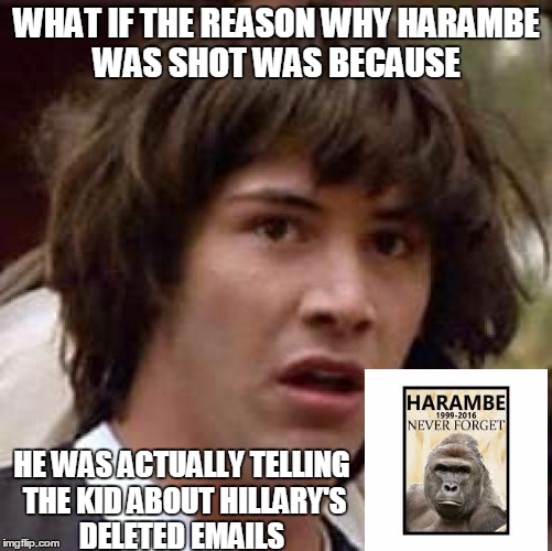 harambe was an inside job | WHAT IF THE REASON WHY HARAMBE WAS SHOT WAS BECAUSE; HE WAS ACTUALLY TELLING THE KID ABOUT HILLARY'S DELETED EMAILS | image tagged in memes,conspiracy keanu,harambe,hillary clinton,hillary emails | made w/ Imgflip meme maker