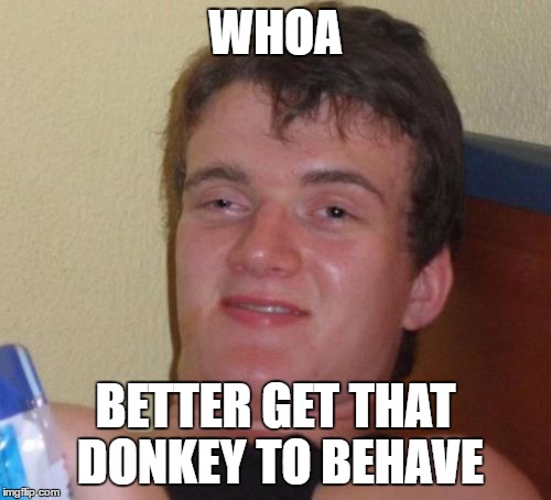 10 Guy Meme | WHOA BETTER GET THAT DONKEY TO BEHAVE | image tagged in memes,10 guy | made w/ Imgflip meme maker