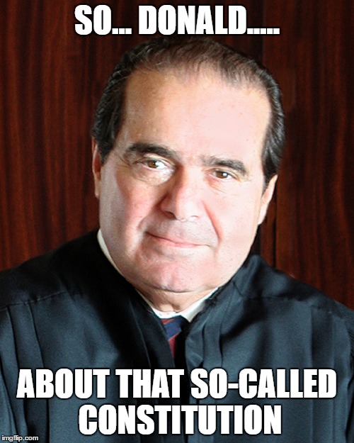 Scalia | SO... DONALD..... ABOUT THAT SO-CALLED CONSTITUTION | image tagged in constitution,donald trump | made w/ Imgflip meme maker