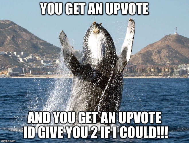 Happy Whale | YOU GET AN UPVOTE AND YOU GET AN UPVOTE ID GIVE YOU 2 IF I COULD!!! | image tagged in happy whale | made w/ Imgflip meme maker