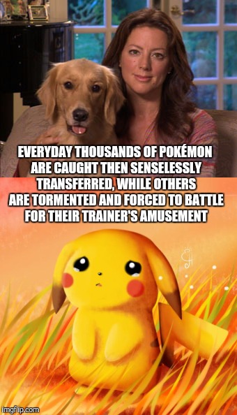 They cry out for help | EVERYDAY THOUSANDS OF POKÉMON ARE CAUGHT THEN SENSELESSLY TRANSFERRED, WHILE OTHERS ARE TORMENTED AND FORCED TO BATTLE FOR THEIR TRAINER'S AMUSEMENT | image tagged in sarah mclachlan,memes,pokemon,pikachu | made w/ Imgflip meme maker