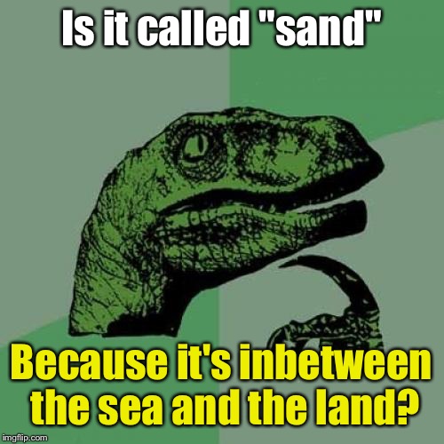 Philosoraptor | Is it called "sand"; Because it's inbetween the sea and the land? | image tagged in memes,philosoraptor | made w/ Imgflip meme maker