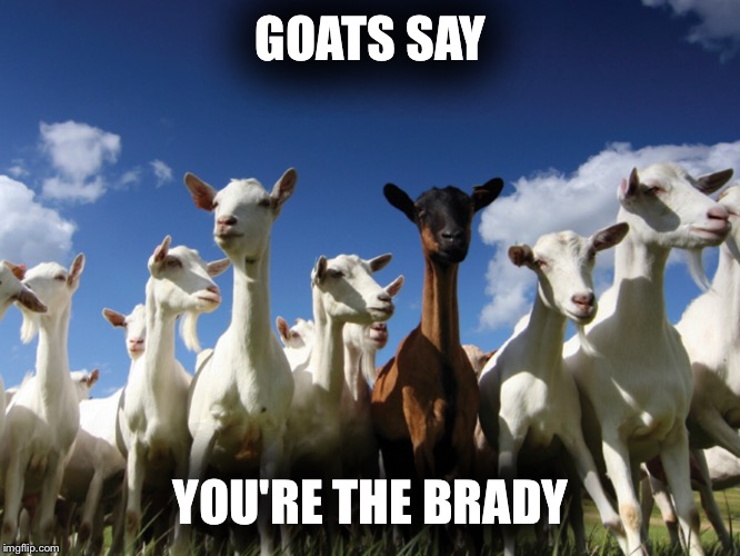 Tom Brady is the GOAT, Chuck Norris Approves | GOATS SAY; YOU'RE THE BRADY | image tagged in tom brady,goat,nfl,superbowl,football,chuck norris | made w/ Imgflip meme maker