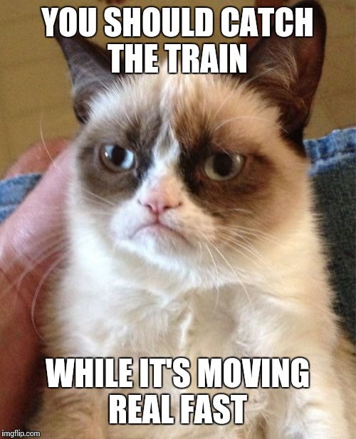 Grumpy Cat | YOU SHOULD CATCH THE TRAIN; WHILE IT'S MOVING REAL FAST | image tagged in memes,grumpy cat | made w/ Imgflip meme maker
