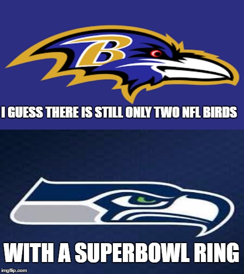 There can be only.......two? | I GUESS THERE IS STILL ONLY TWO NFL BIRDS; WITH A SUPERBOWL RING | image tagged in seattle seahawks,baltimore ravens,nfl,superbowl 51 | made w/ Imgflip meme maker