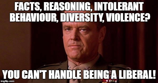  FACTS, REASONING, INTOLERANT BEHAVIOUR, DIVERSITY, VIOLENCE? YOU CAN'T HANDLE BEING A LIBERAL! | image tagged in jack nicholson | made w/ Imgflip meme maker