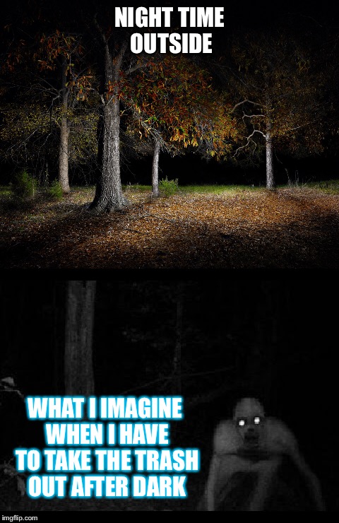 When my imagination takes over | NIGHT TIME OUTSIDE; WHAT I IMAGINE WHEN I HAVE TO TAKE THE TRASH OUT AFTER DARK | image tagged in what i imagine | made w/ Imgflip meme maker