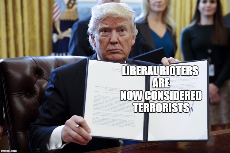 If they did that, they might stop killing people and destroying things | LIBERAL RIOTERS ARE NOW CONSIDERED TERRORISTS | image tagged in trump executive order | made w/ Imgflip meme maker