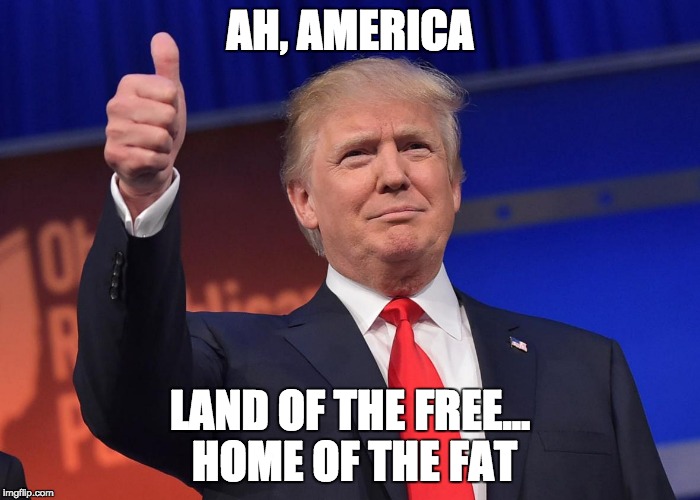 donald trump | AH, AMERICA; LAND OF THE FREE... HOME OF THE FAT | image tagged in donald trump | made w/ Imgflip meme maker