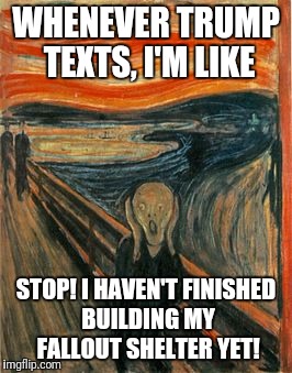 The scream | WHENEVER TRUMP TEXTS, I'M LIKE; STOP! I HAVEN'T FINISHED BUILDING MY FALLOUT SHELTER YET! | image tagged in the scream | made w/ Imgflip meme maker