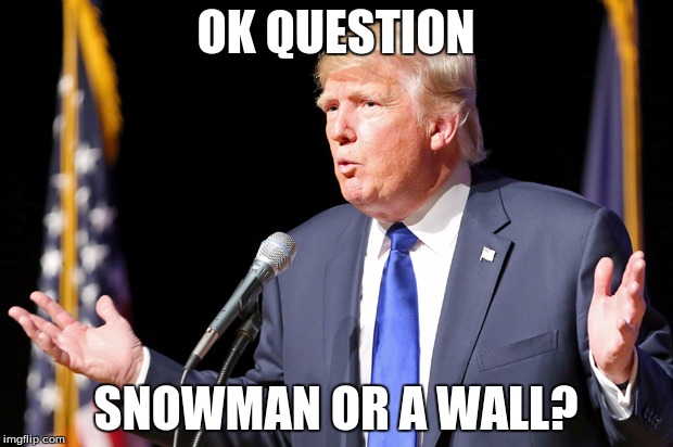 DT | OK QUESTION; SNOWMAN OR A WALL? | image tagged in trump trollop | made w/ Imgflip meme maker