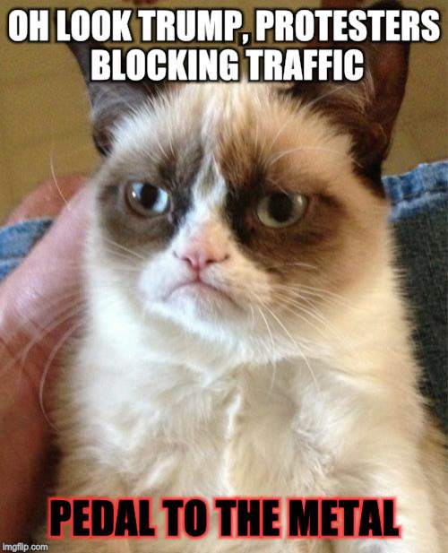 Grumpy Cat Meme | OH LOOK TRUMP, PROTESTERS BLOCKING TRAFFIC PEDAL TO THE METAL | image tagged in memes,grumpy cat | made w/ Imgflip meme maker