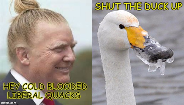 Donald duck  | SHUT THE DUCK UP; HEY COLD BLOODED LIBERAL QUACKS | image tagged in libidiots,ducks,shut up,freeze,quack | made w/ Imgflip meme maker