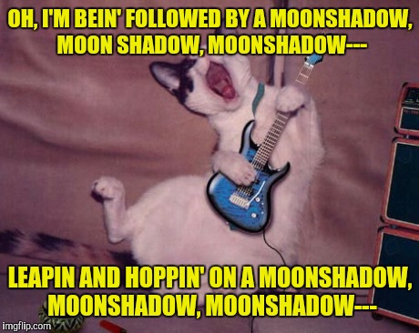 Cat Stevens, not Darrin | OH, I'M BEIN' FOLLOWED BY A MOONSHADOW, MOON SHADOW, MOONSHADOW---; LEAPIN AND HOPPIN' ON A MOONSHADOW, MOONSHADOW, MOONSHADOW--- | image tagged in cat,singer,moonshadow | made w/ Imgflip meme maker