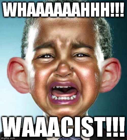 WHAAAAAAHHH!!! WAAACIST!!! | image tagged in wahhh | made w/ Imgflip meme maker